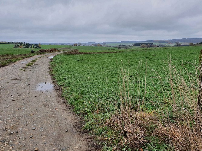 Fays Veneurs prom 13 Nov 20 A Villeval (20)