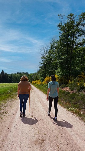 Circuit de Bois Bouquet