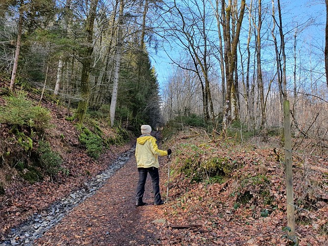 Vivy hiver 22 prom 3 MTBA AV (21)