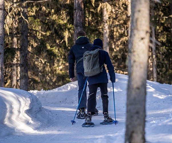 Von Barmont nach Le Villaret über die Weiler im Winter