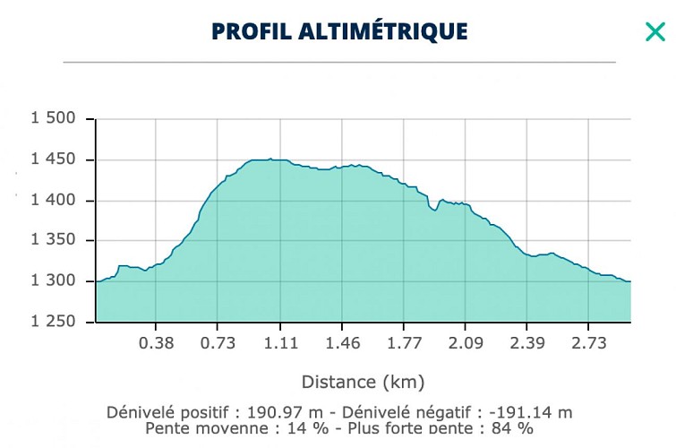 Tour du bois de l'église de Peisey