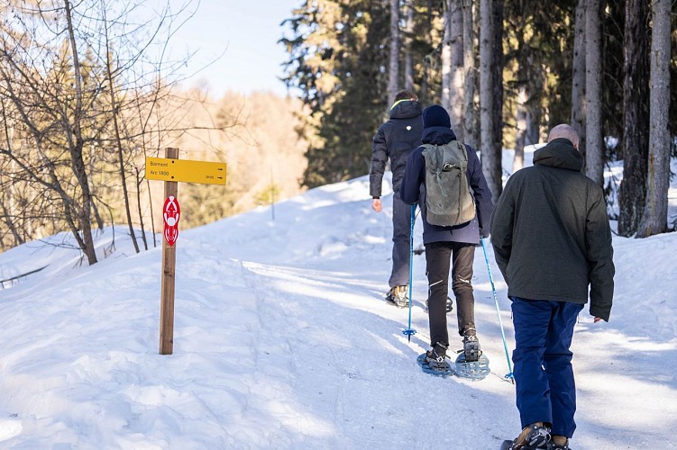 Vallandry vers Arc 1800 par le chemin de Barmont (Hiver)