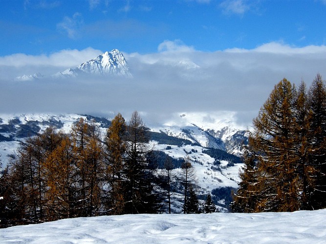 Vallandry vers Arc 1800 par le chemin de Barmont (Hiver)