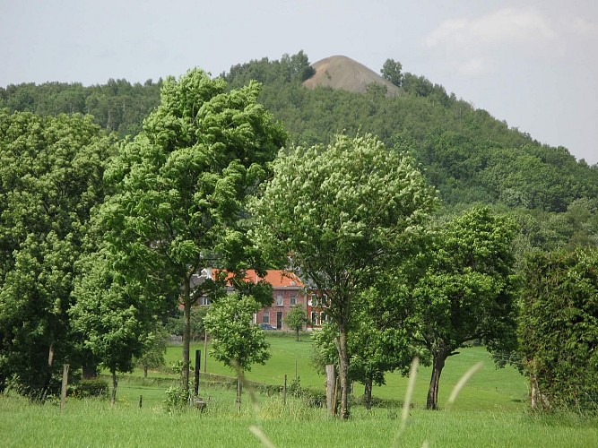 Retinne-Promenade le Pansery F18 - 3