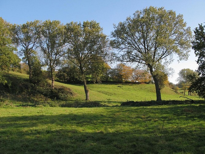 Retinne-Promenade le vallon de la Julienne F13 - 2