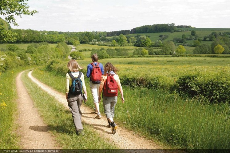 668 ML_03.05.2011.jpg