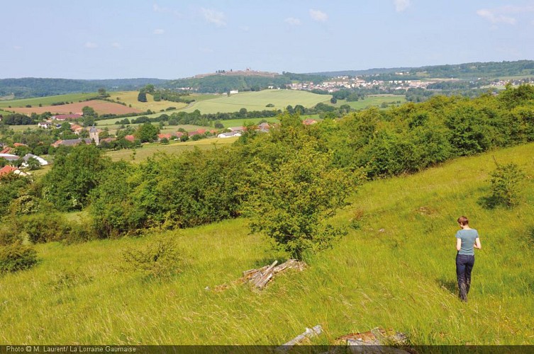 0691 ML_Nord-Meuse 2010.jpg