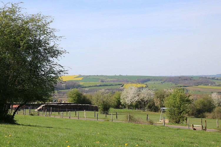 Froidfontaine 3(rectangle vert)