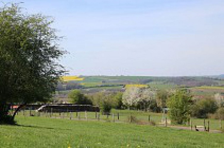 froidfontaine 3(groen rechthoek)