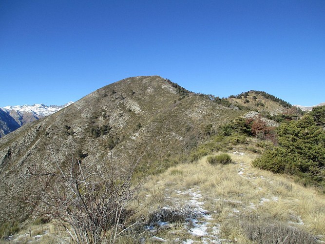 Hike to Mount Bergiorin