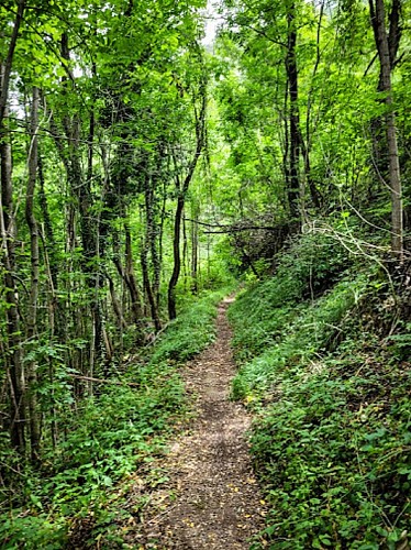 chemin de sainte anne l'armaneira la brigue