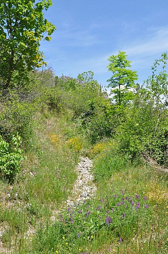 sentier du soleil la brigue