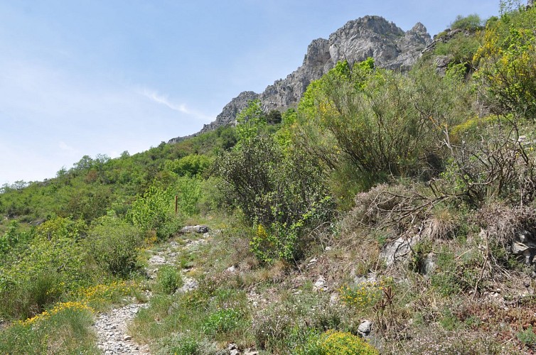 sentier du soleil la brigue