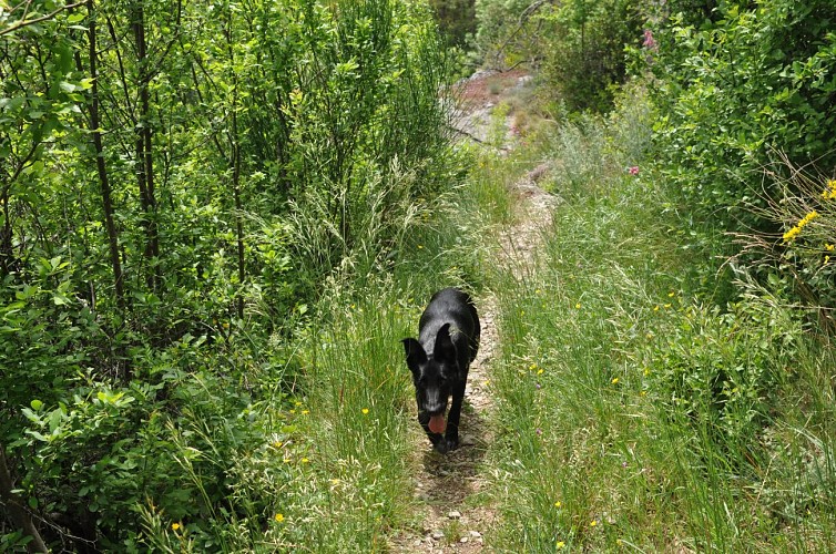 sentier du soleil la brigue
