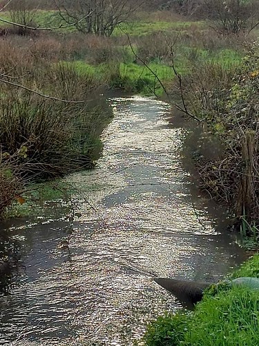 La source de la Sinope