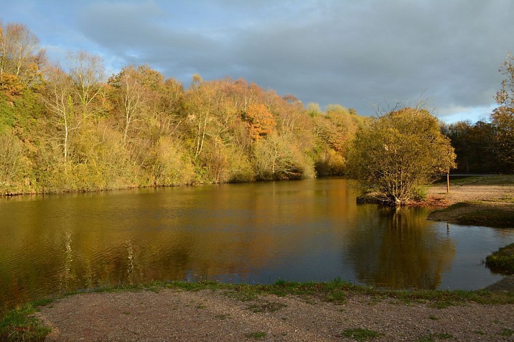 L'étang de la Lande