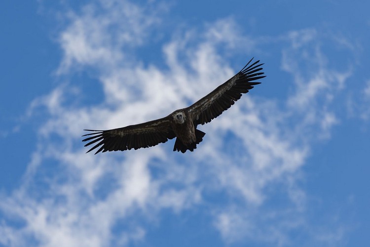 La Route des Crêtes - Le Grand Canyon - Espace cyclosport_La Palud-sur-Verdon