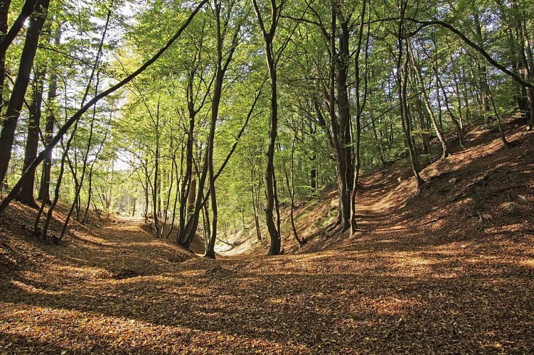 Romsée-Promenade Le Géloury F20 - 2