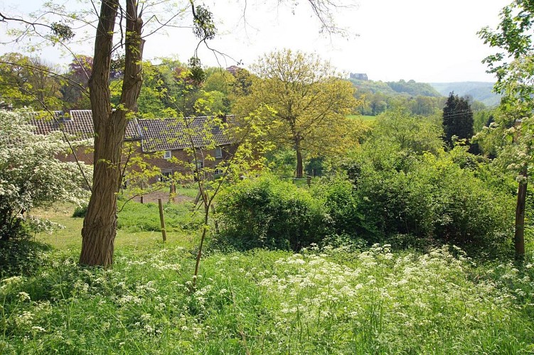 Romsée-Promenade Le Pireux F14 - 2
