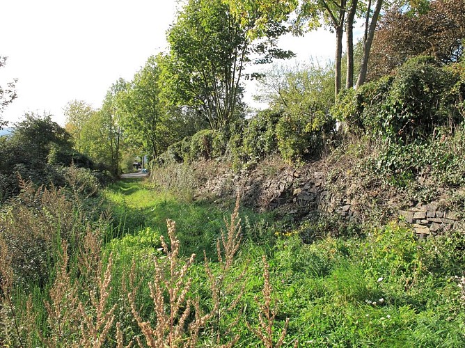 Romsée-Promenade Le Pireux F14 - 3