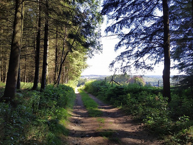 Maissin-2020-été-prom Chaftés Louis-(AG) (9)