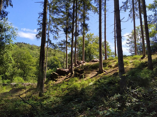 Maissin-2020-été-prom Chaftés Louis-(AG) (23)