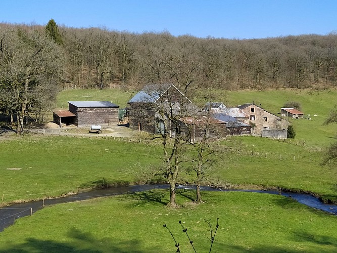 Fays les Veneurs-2020-printemps-prom Pont le Prêtre-(AG) (15)