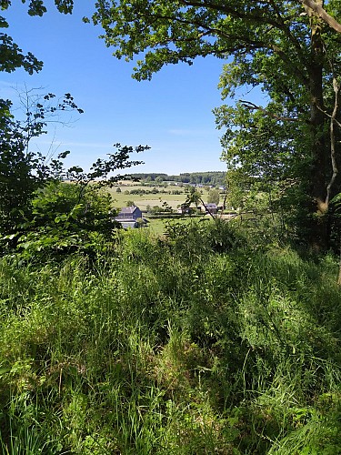 Gedinne-2020.été-les Moulinais-(AG)jpg (3)