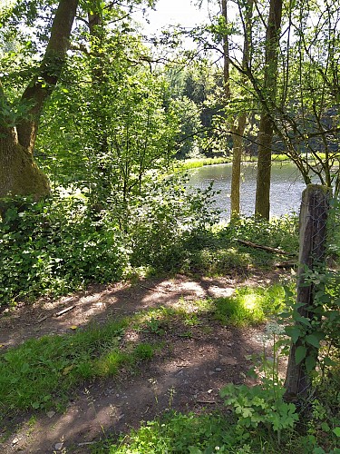 Gedinne-2020.été-les Moulinais-(AG)jpg (6)