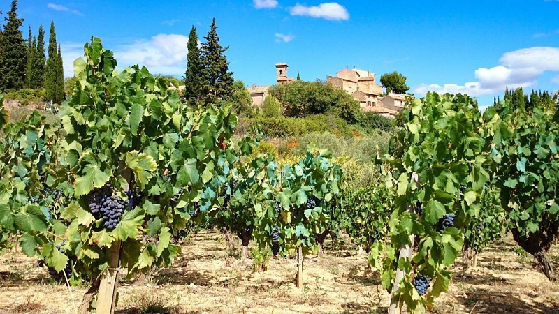 TOUR AUTOUR DE SAINT-JEAN-DE-MINERVOIS - GR® DE PAYS MINERVOIS, SAINT-CHINIAN, FAUGÈRES