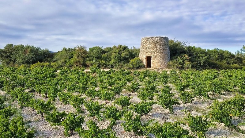 TOUR AUTOUR DE SAINT-JEAN-DE-MINERVOIS - GR® DE PAYS MINERVOIS, SAINT-CHINIAN, FAUGÈRES