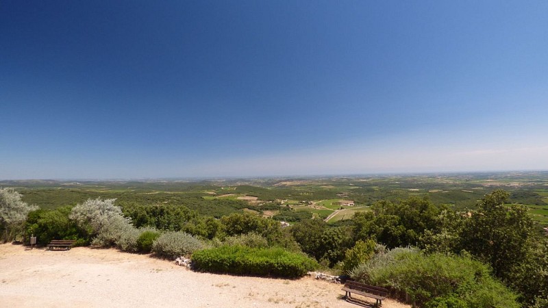 RANDONNÉE TOUR EN FAUGERES - GR® DE PAYS MINERVOIS, SAINT-CHINIAN, FAUGÈRES