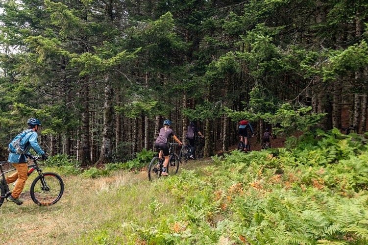 Circuit VTT n°22 à Lavoine