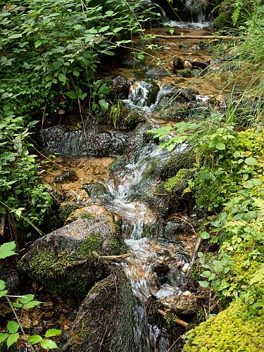 Le Sichon au Montoncel