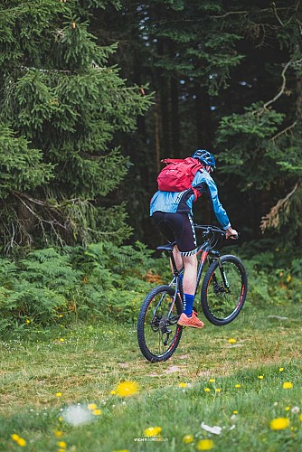 Circuit VTT n°36 à Lavoine entrée de forêt
