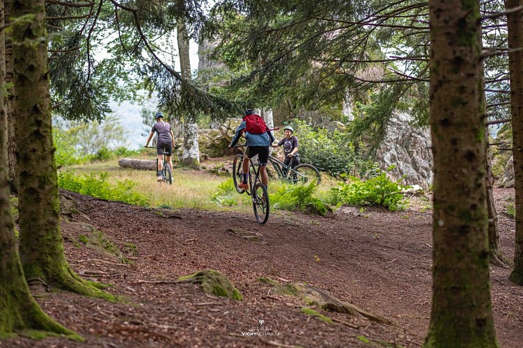 Circuit VTT n°36 à Lavoine en forêt