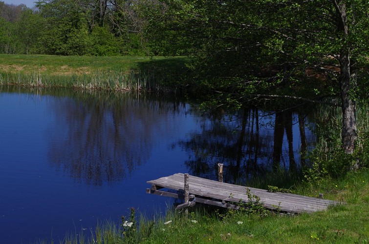 L'étang du Charrais à Lavoine