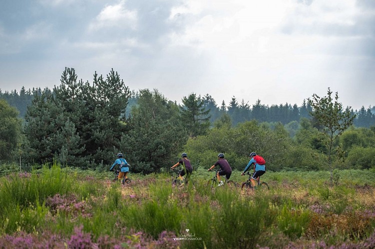 Paysage à la Verrerie à Saint-Nicolas-des-Biefs
