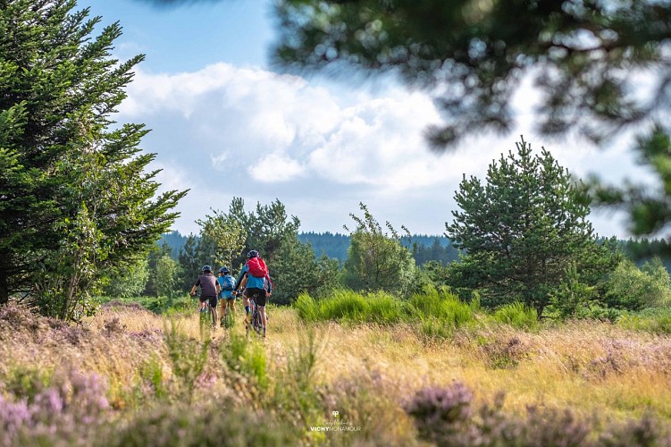 Le plateau de la Verrerie à Saint-Nicolas-des-Biefs