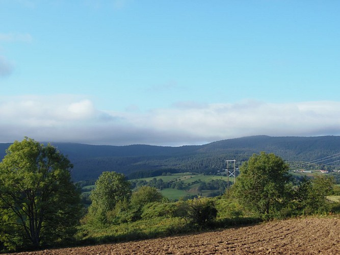 Point de vue à Laprugne