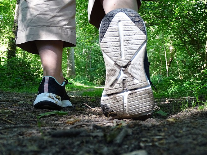 Chemin en terre Bois de Grand Leez basket figurants Zoom Amandine Couvreur (5)