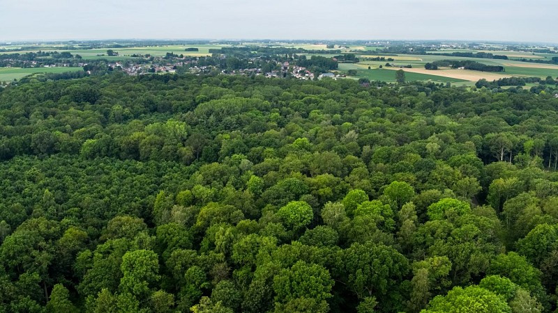 MTSO_BOIS_GRAND_LEEZ_JUIN2019_0008