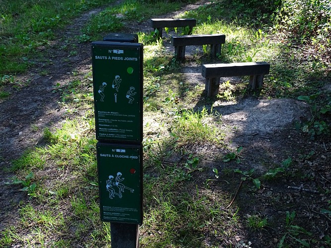 Parcours Vita Bois de Grand Leez Amandine Couvreur (3)
