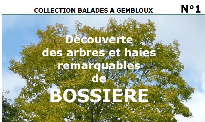 Wandeling in Bossière - "Ontdekking van opmerkelijke bomen en hagen"