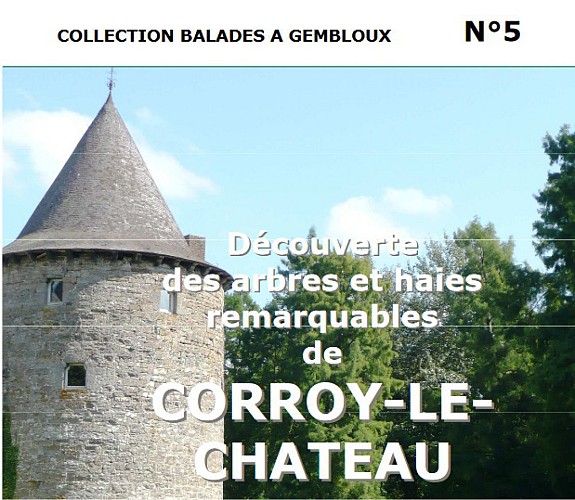 Wandeling in Corroy-le-Château - "Ontdekking van opmerkelijke bomen en hagen"