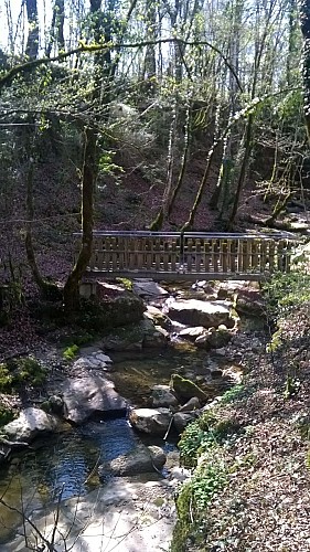 Les berges du Rhône