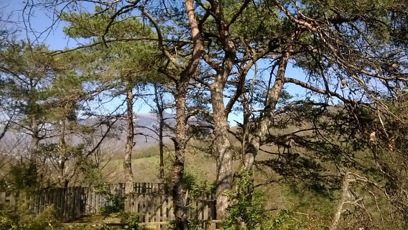 Les berges du Rhône