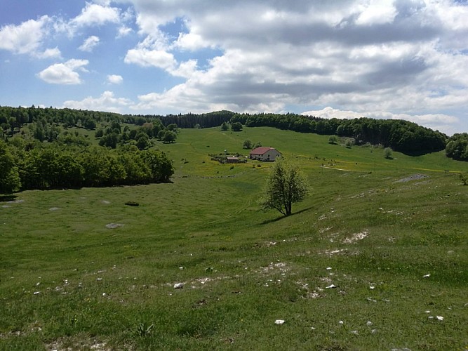 Retord sud : L'alpage