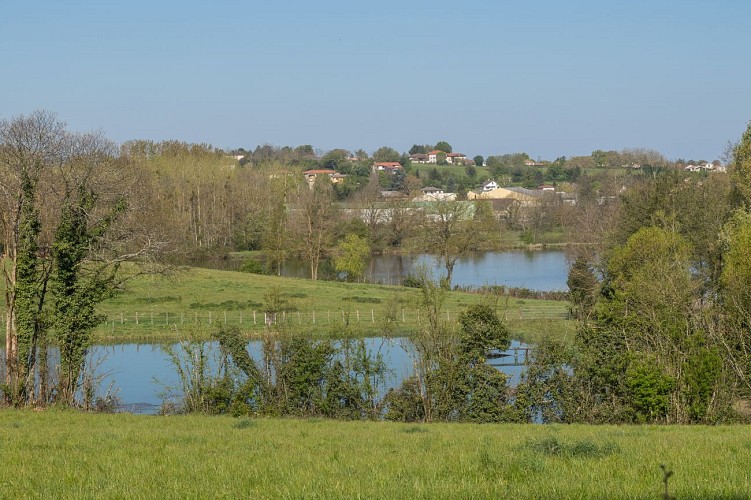 Rundgang durch den Wald von Chassagne in Chalamont