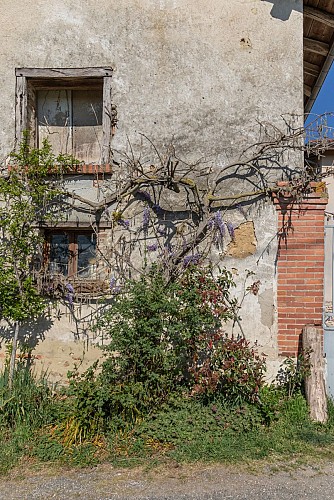 Rundgang durch den Wald von Chassagne in Chalamont